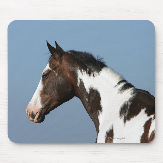 Paint Horse Headshot 1 Mouse Pad (Front)