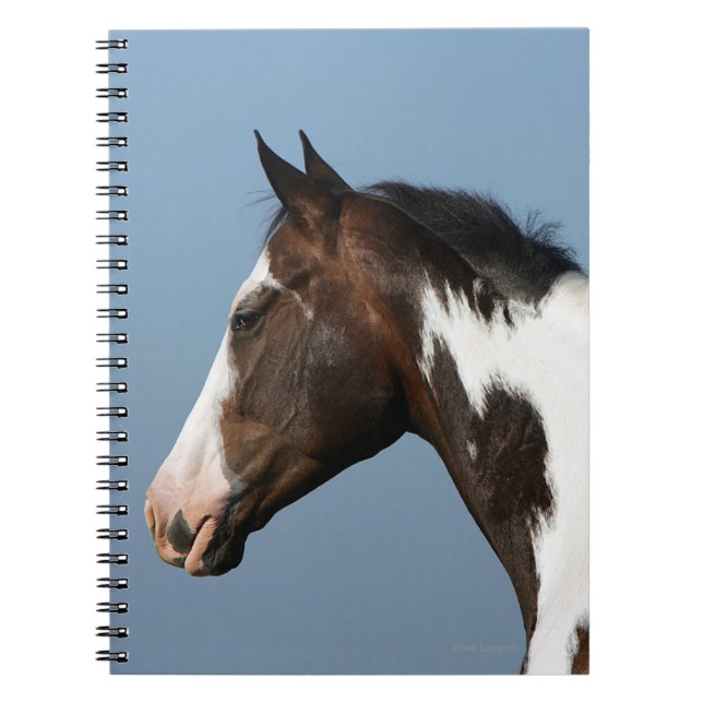 Paint Horse Headshot 1 Notebook (Front)
