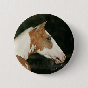 Paint Horse Headshot 2 6 Cm Round Badge