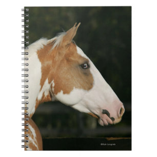 Paint Horse Headshot 2 Notebook
