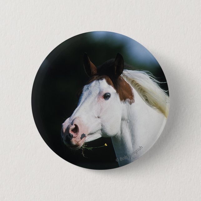 Paint Horse Headshot 3 6 Cm Round Badge (Front)