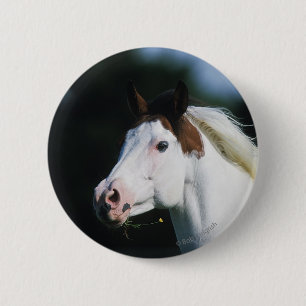 Paint Horse Headshot 3 6 Cm Round Badge