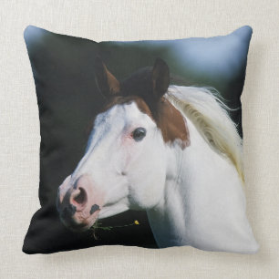 Paint Horse Headshot 3 Cushion