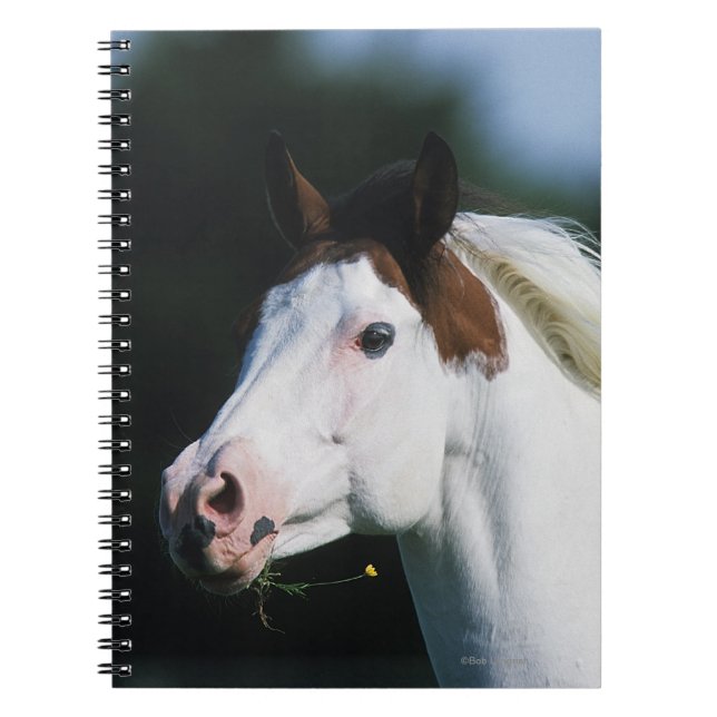 Paint Horse Headshot 3 Notebook (Front)