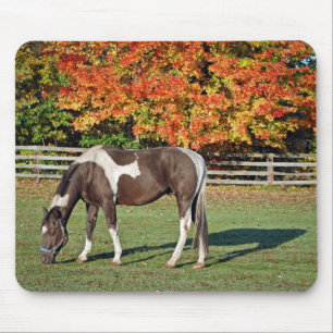 Paint Horse in fall pasture Mouse Pad