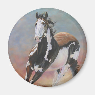 paint horse magnet