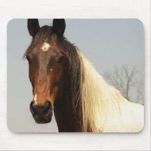 Paint Horse Mouse Pad