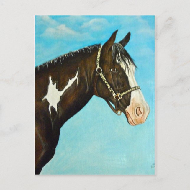 Paint Horse Postcard (Front)