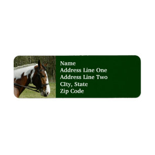 Paint Horse Profile, with Bridle Green Pasture Return Address Label