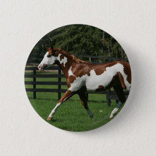 Paint Horse Running 1 6 Cm Round Badge