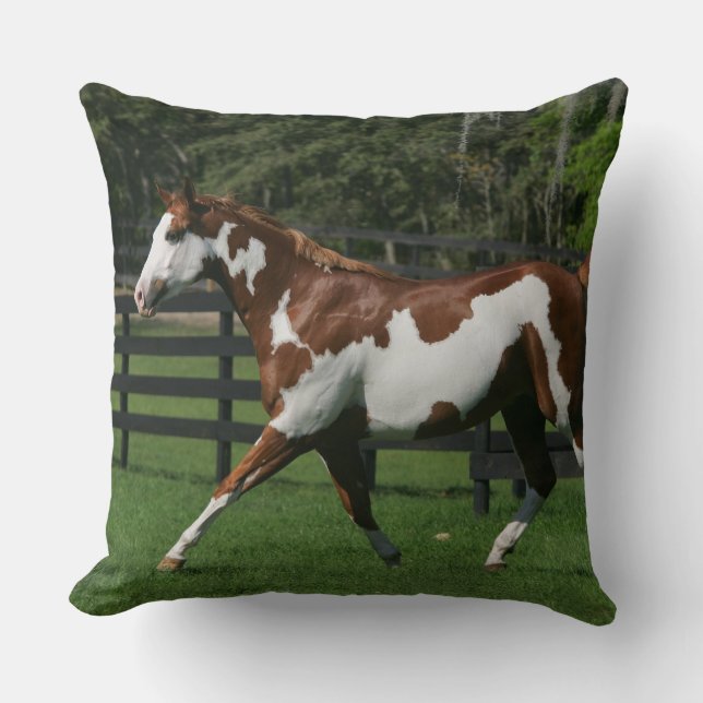 Paint Horse Running 1 Cushion (Front)