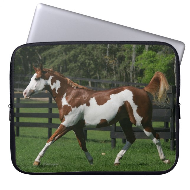 Paint Horse Running 1 Laptop Sleeve (Front)