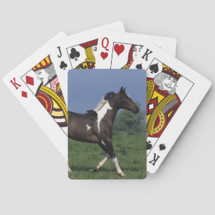 Paint Horse Running 2 Playing Cards