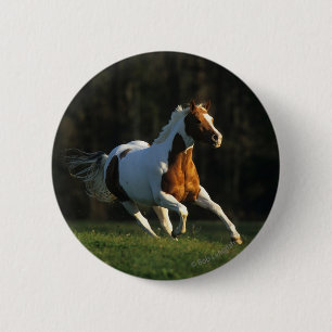 Paint Horse Running Fast 6 Cm Round Badge
