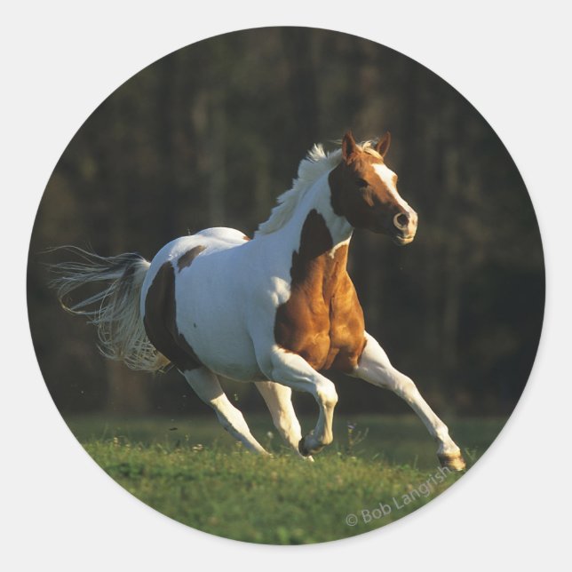 Paint Horse Running Fast Classic Round Sticker (Front)