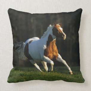 Paint Horse Running Fast Cushion