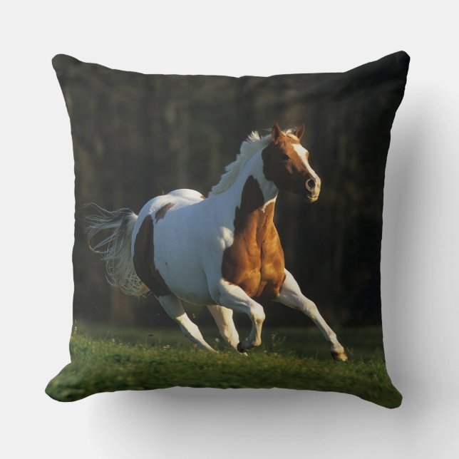 Paint Horse Running Fast Cushion (Front)