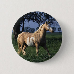 Paint Horse Standing 2 6 Cm Round Badge