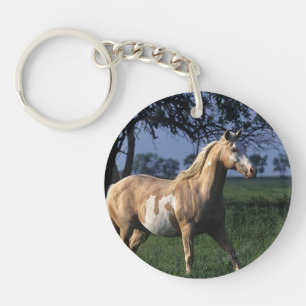 Paint Horse Standing 2 Key Ring