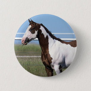 Paint Horse Standing 6 Cm Round Badge