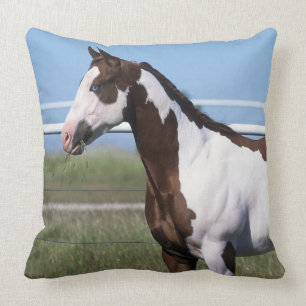 Paint Horse Standing Cushion
