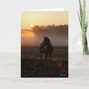 Paint Horse Standing In Mist At Sunrise Card