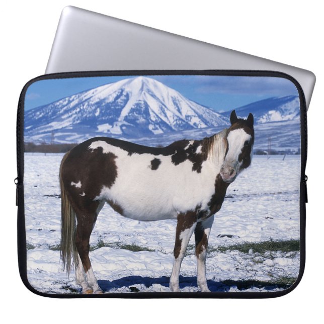 Paint Horse Standing in the Snow Laptop Sleeve (Front)