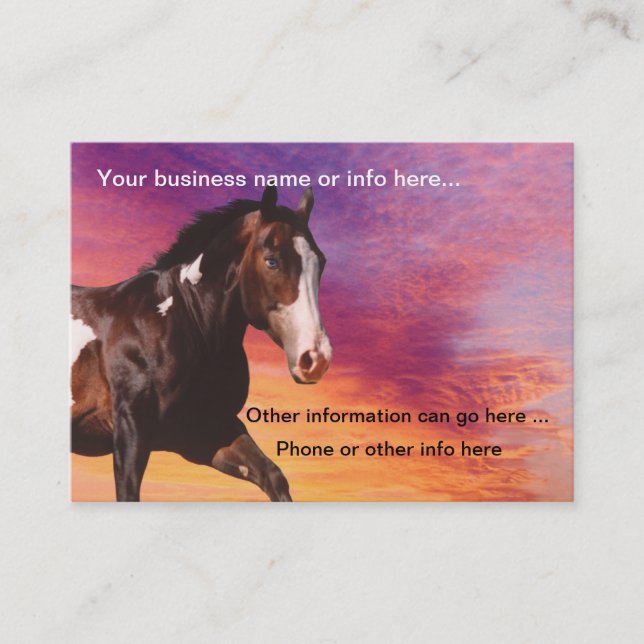 Paint Horse sunrise Business Cards (Front)
