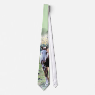 Paint Horse Tie for horse lovers