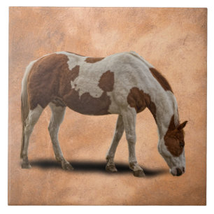 PAINT HORSE TILE