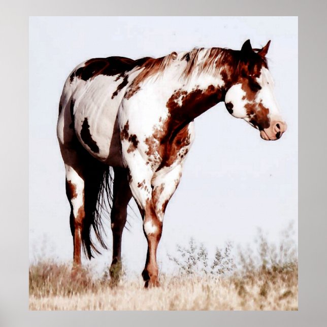 Paint Horse Watercolor Poster Print (Front)