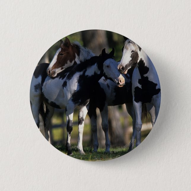 Paint Horses 6 Cm Round Badge (Front)