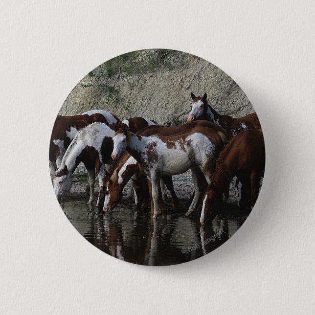 Paint Horses Drinking 6 Cm Round Badge (Front)