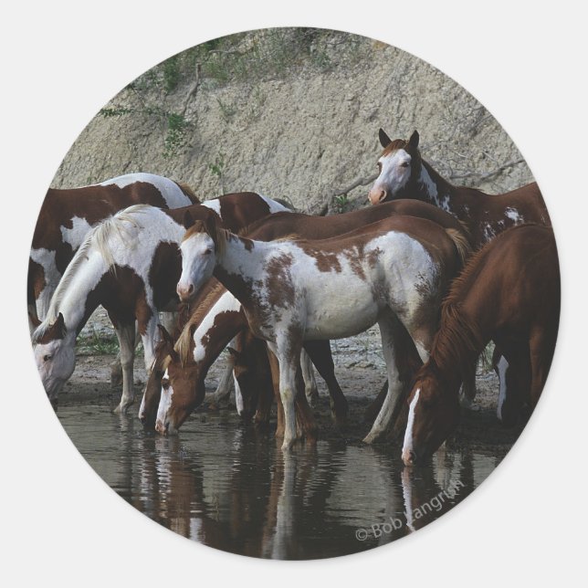 Paint Horses Drinking Classic Round Sticker (Front)