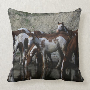 Paint Horses Drinking Cushion