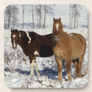 Paint Horses in the Snow Coaster