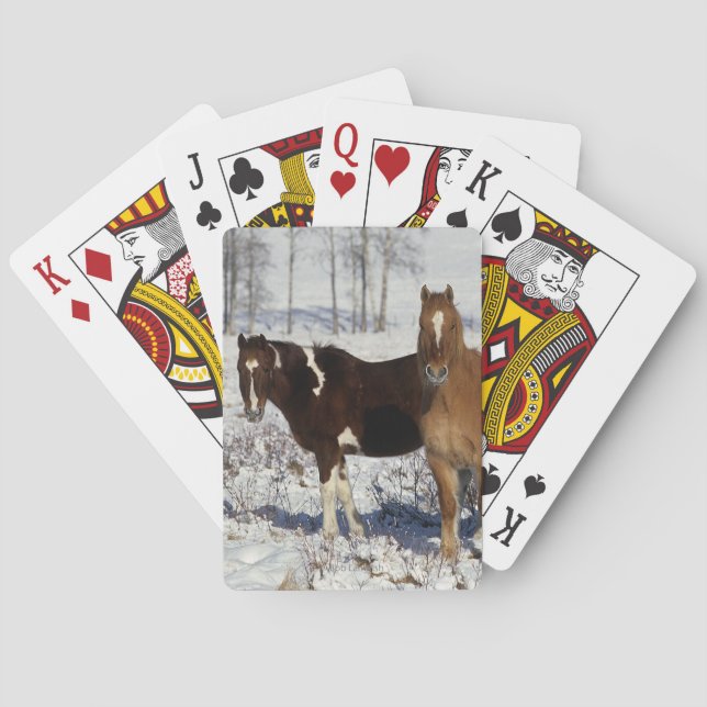 Paint Horses in the Snow Playing Cards (Back)