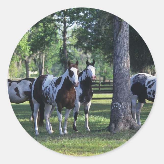 Paint Horses in the Trees Classic Round Sticker (Front)