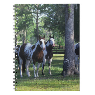 Paint Horses in the Trees Notebook