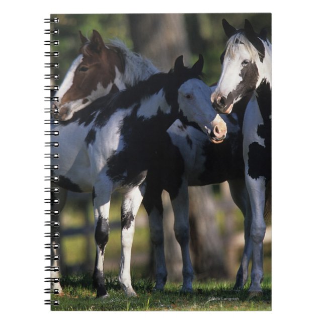 Paint Horses Notebook (Front)