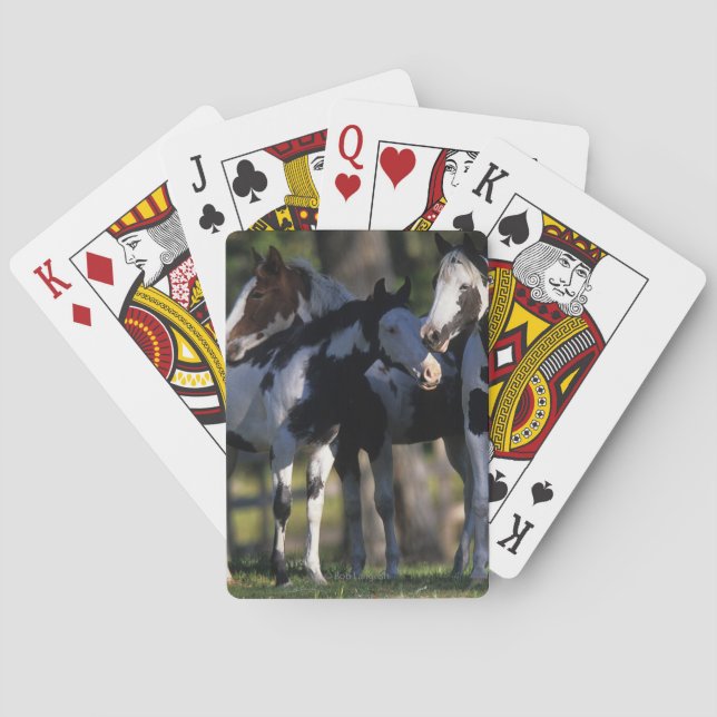 Paint Horses Playing Cards (Back)