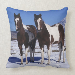 Paint Horses Standing in the Snow Cushion