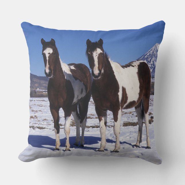 Paint Horses Standing in the Snow Cushion (Front)