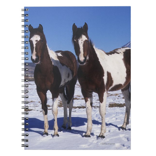 Paint Horses Standing in the Snow Notebook (Front)