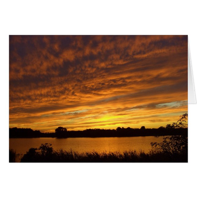 Paint it orange (Front Horizontal)