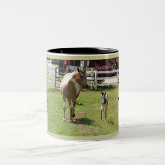 Paint mare and Foal Two-Tone Coffee Mug