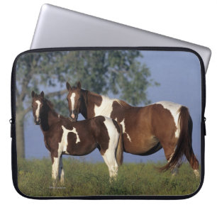 Paint Mare & Foal Laptop Sleeve