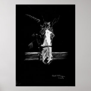Paint On Black Horse Portrait Poster