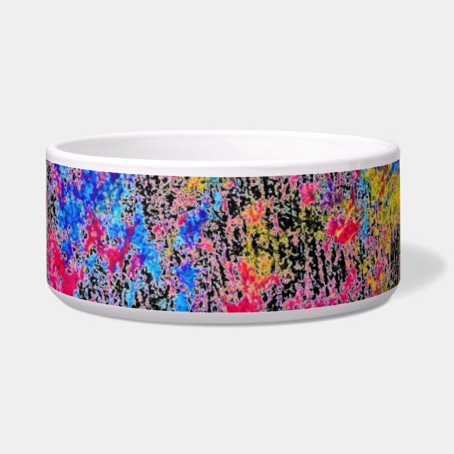 Paint Pet Bowl (Front)