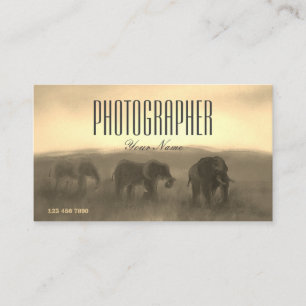 Paint Photo Picture Safari Sunset Photographer Business Card
